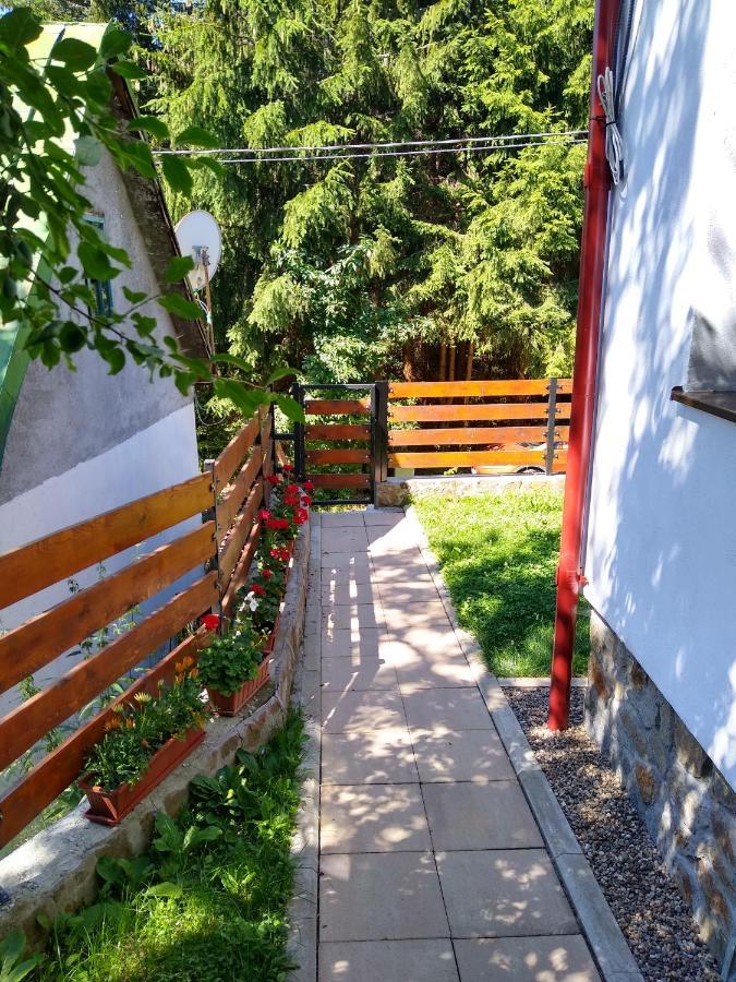 New And Comfortable Two Bedroom House Gărâna Exterior photo